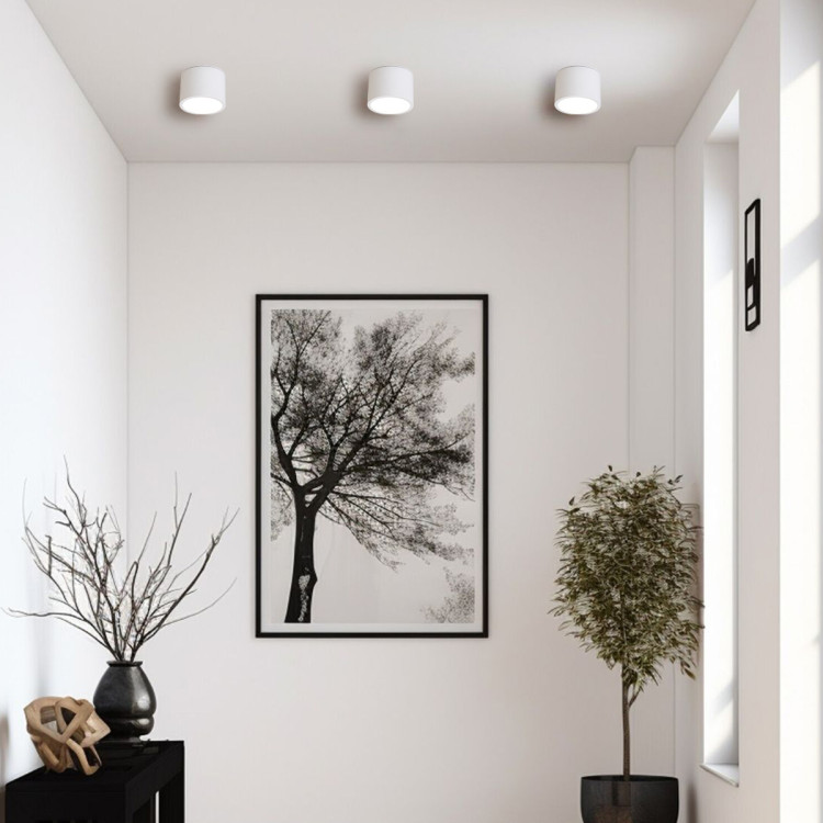 Oprawa natynkowa Kendal biała IP65 GX53 - 10018