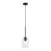 Lampa wisząca Elaris transparentna 1xE27