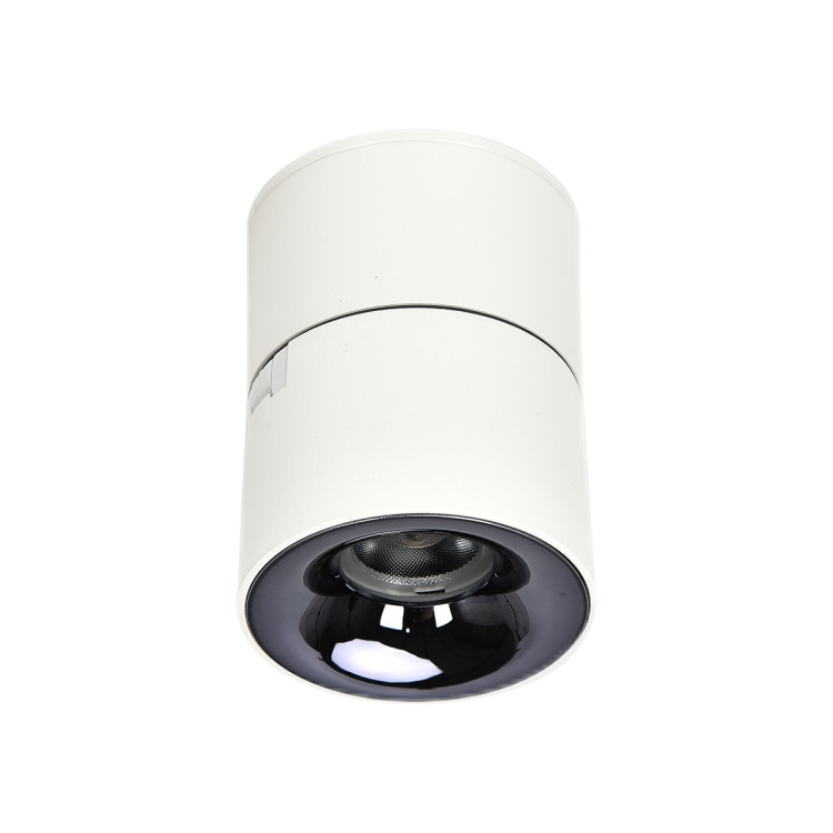 Oprawa punktowa Brema LED biała - 12947