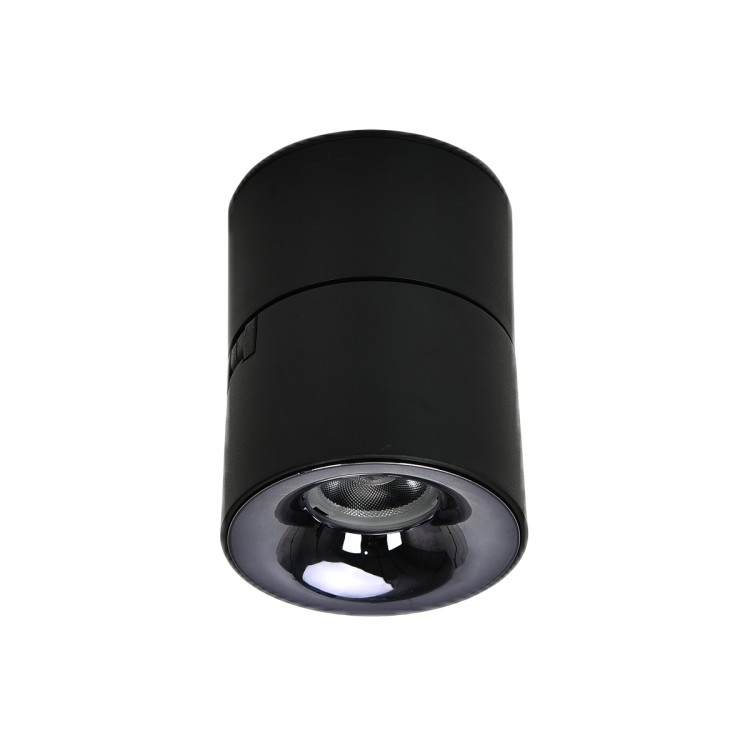 Czarna lampa natynkowa Brema LED CCT - 12954