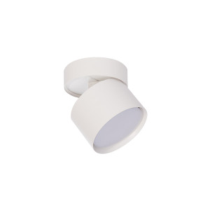 Aluminiowa regulowana oprawa natynkowa Kendal Light Prestige