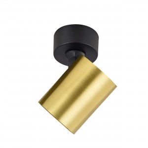 Reflektor Spot Snow 1 złoty 1xGU10