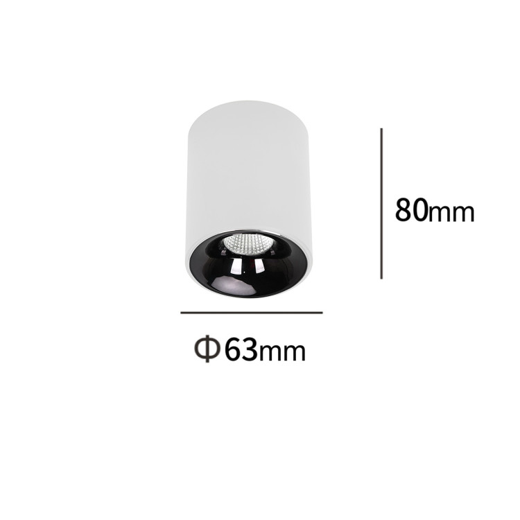 Oprawa natynkowa Tom biała LED CCT - 9783