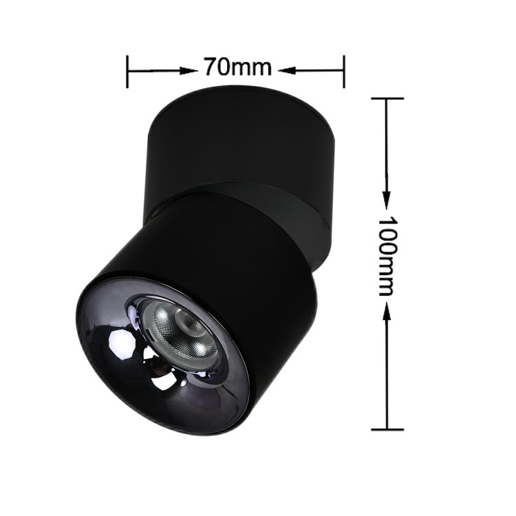 Ruchoma oprawa natynkowa Brema czarna LED CCT - 9866